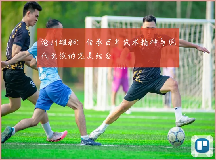 沧州雄狮：传承百年武术精神与现代竞技的完美结合